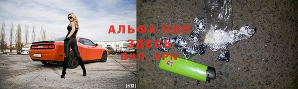 стаф Алзамай