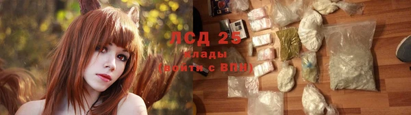 первитин Гусев