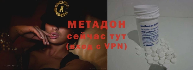 стаф Алзамай