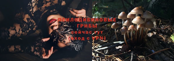 а пвп мука Абдулино