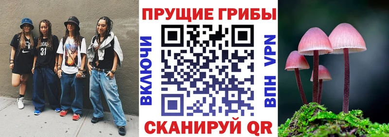 Галлюциногенные грибы GOLDEN TEACHER где купить наркоту Якутск