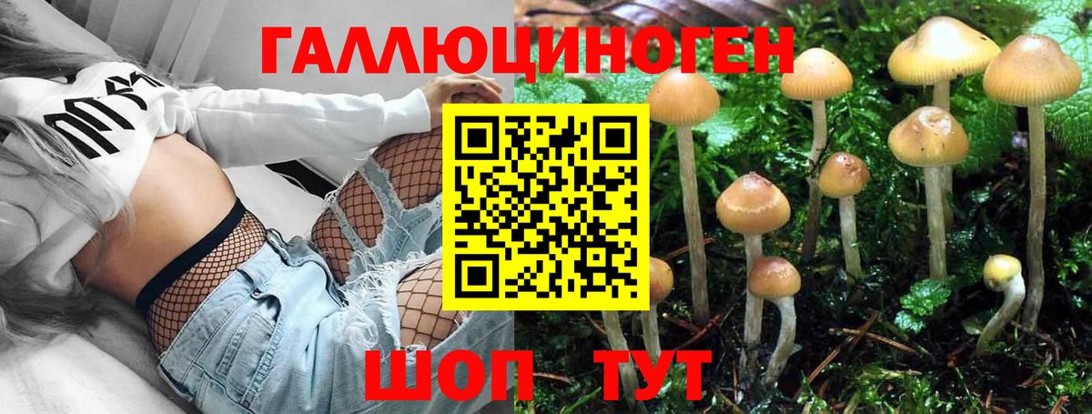 Якутск  Галлюциногенные грибы Psilocybe  Галлюциногенные грибы ЛСД  Вход с VPN 